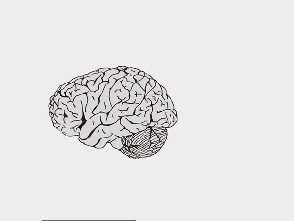 Booking an Appointment to your Neurology Specialist